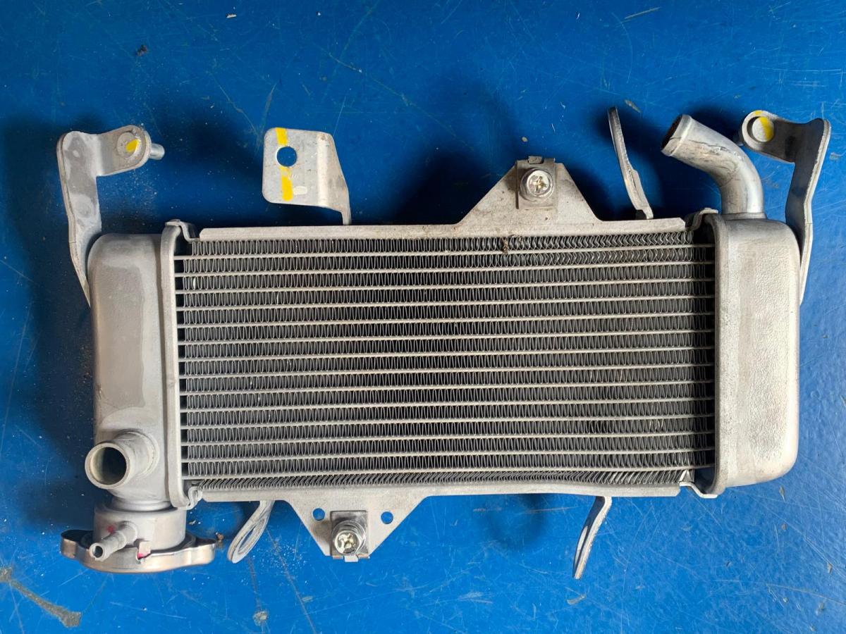 Radiador Yamaha YZF 125 R 2023-2024 BNU1