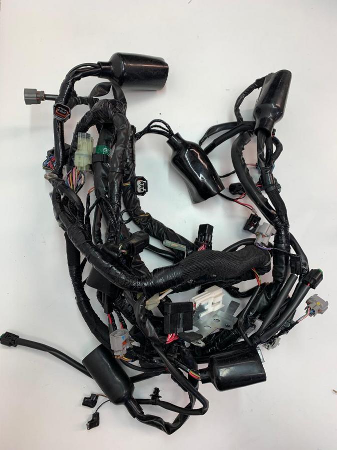 Cableado Versys 650 ABS